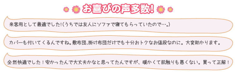 ����т̐������I