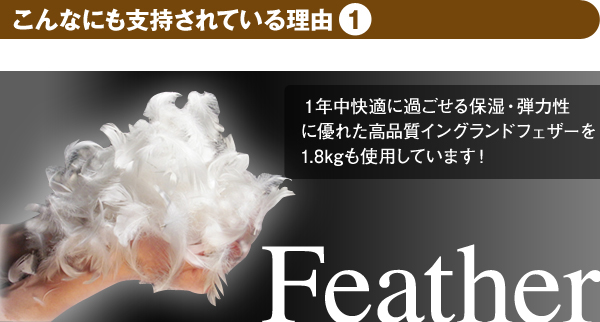 ����Ȃɂ��x������Ă��闝�R�@