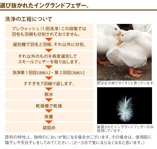 �I�є����ꂽ�C���O�����h�t�F�U�[