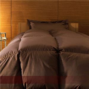 �z���C�g�_�b�O�_�E��85���g�p�H�ъ|�z�c�����̔�